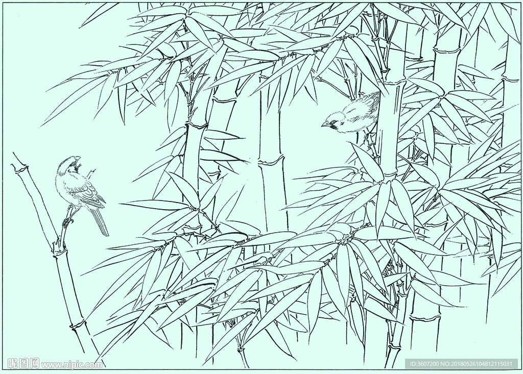 竹子线描 竹子白描 竹子素描