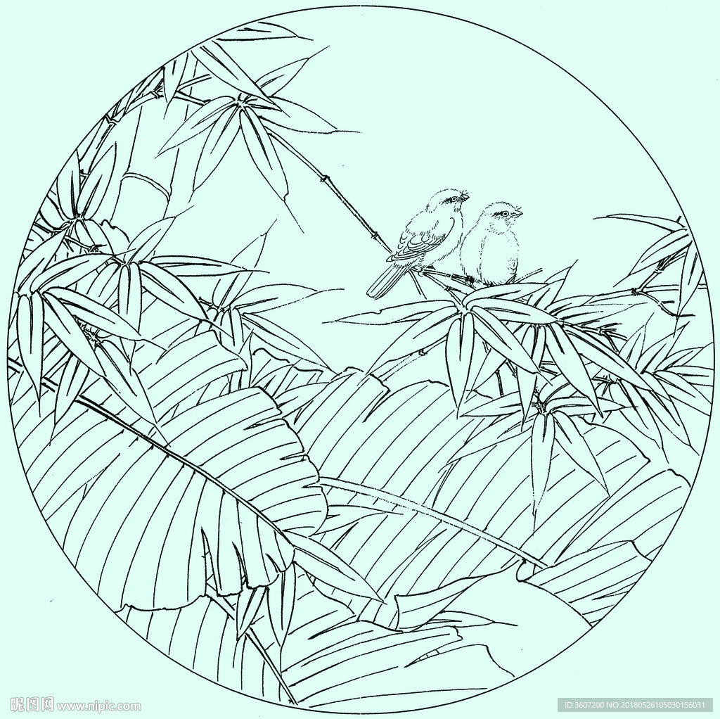 竹子线描 竹子白描 竹子素描