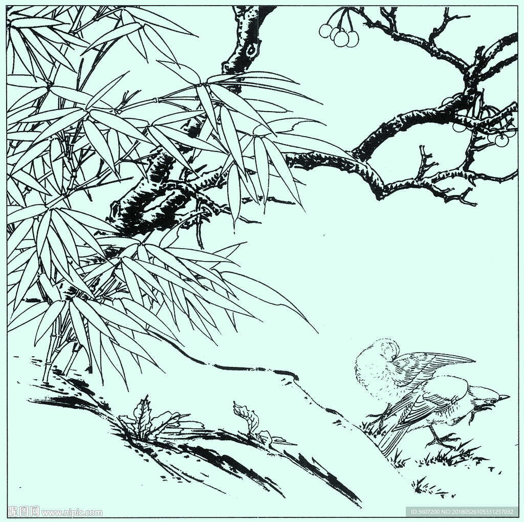 竹子线描 竹子白描 竹子素描