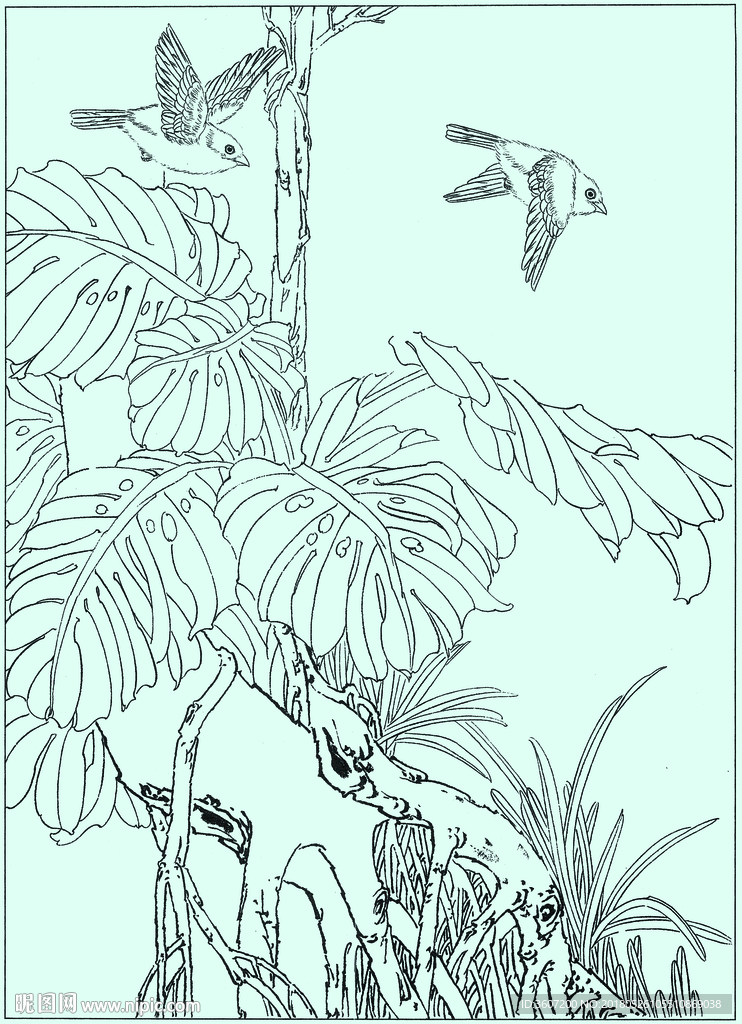 竹子线描 竹子白描 竹子素描