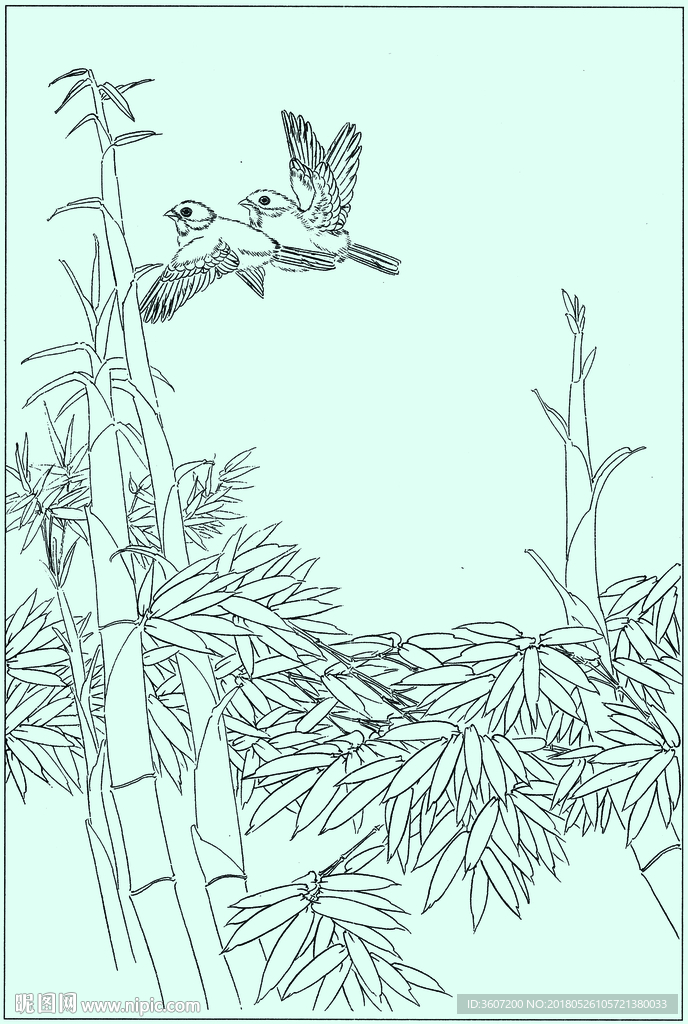 竹子线描 竹子白描 竹子素描