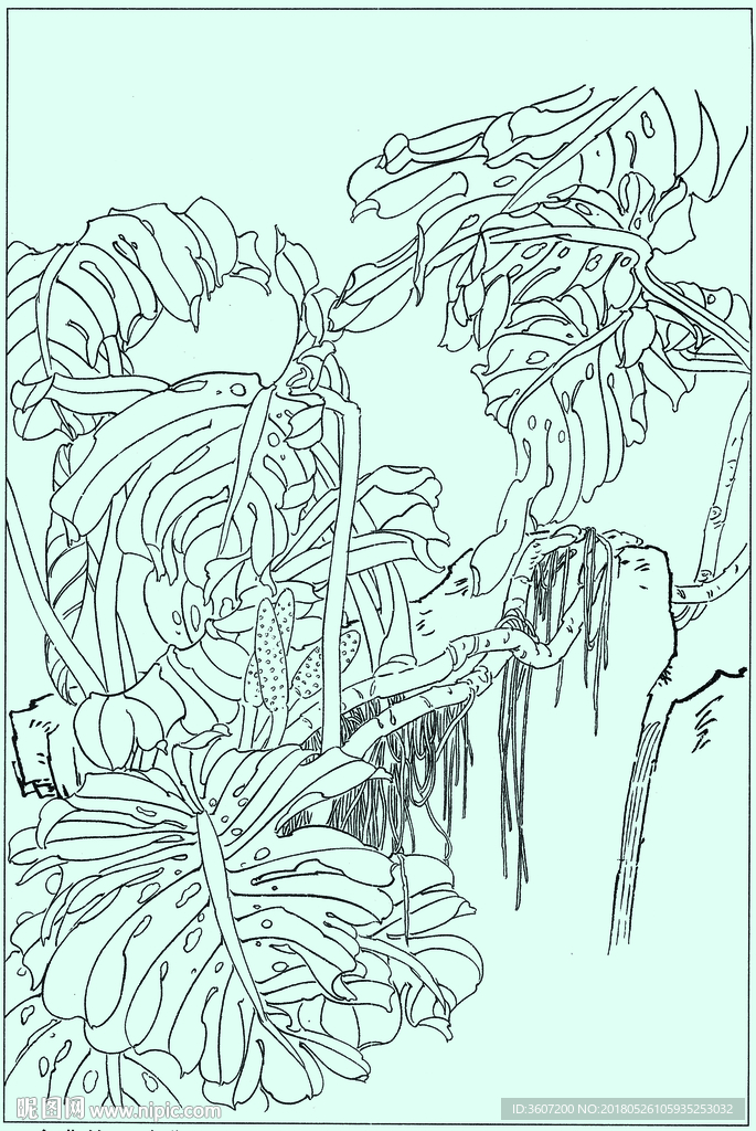 竹子线描 竹子白描 竹子素描