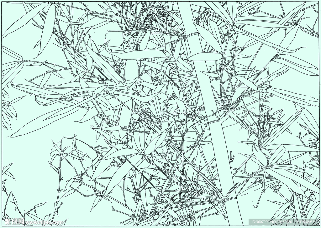 竹子线描 竹子白描 竹子素描