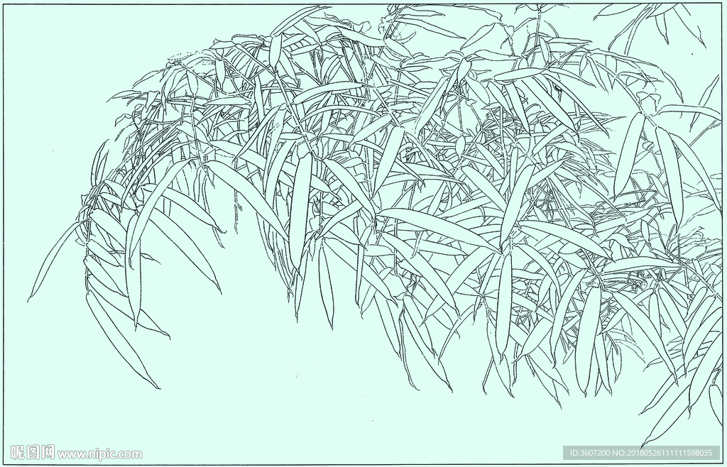 竹子线描 竹子白描 竹子素描