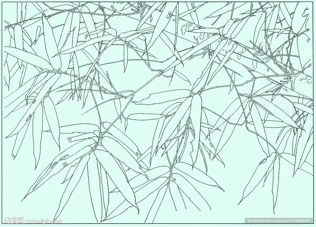 竹子线描 竹子白描 竹子素描