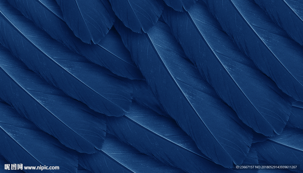 羽毛 背景 底纹 活动背景 孔