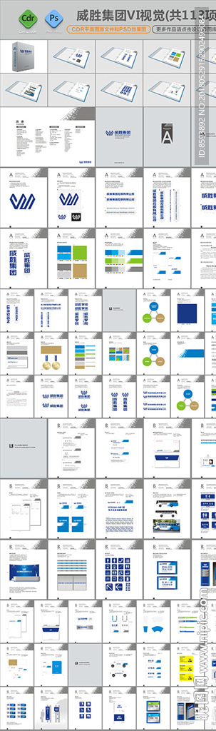 蓝色威胜集团VI视觉设计