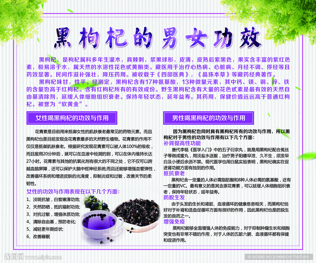 黑枸杞功效