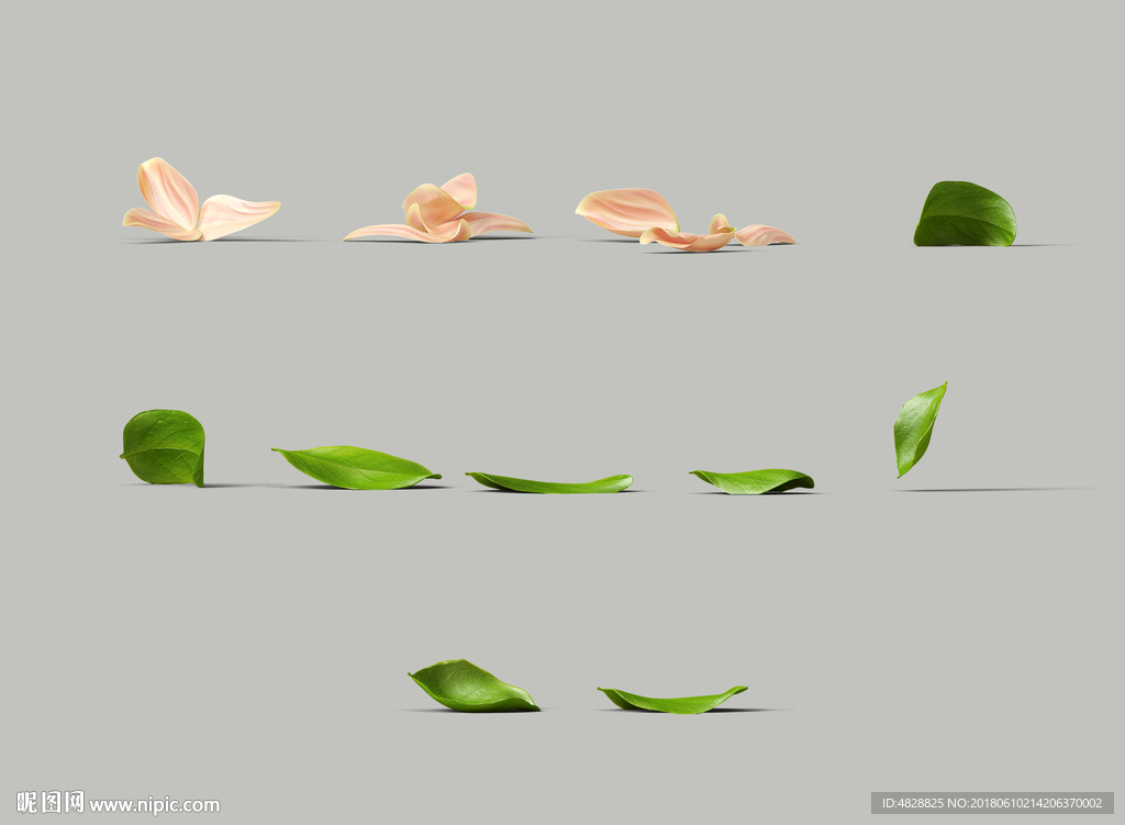 欧美高清叶子花瓣分层素材