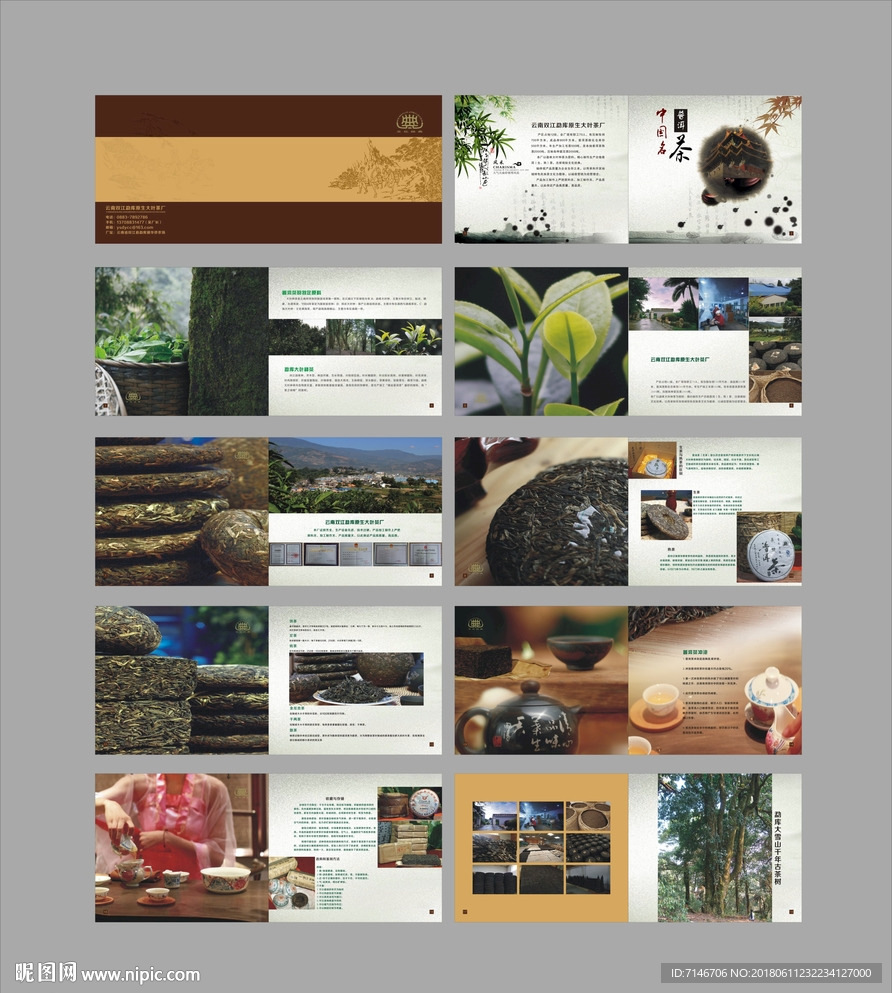 普洱茶画册