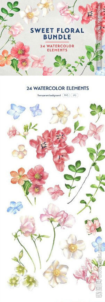 水彩小清新花卉植物