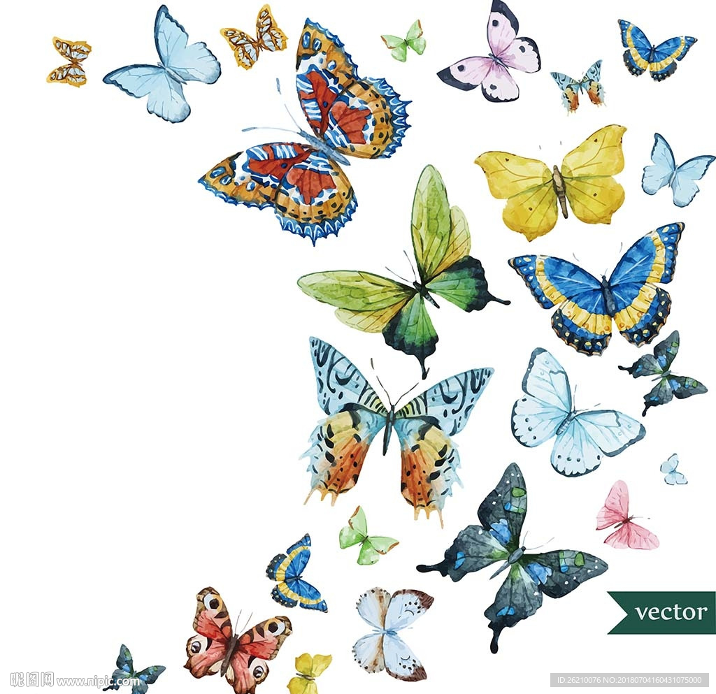 矢量蝴蝶墙贴素材