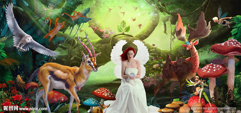 梦幻森林主题写真