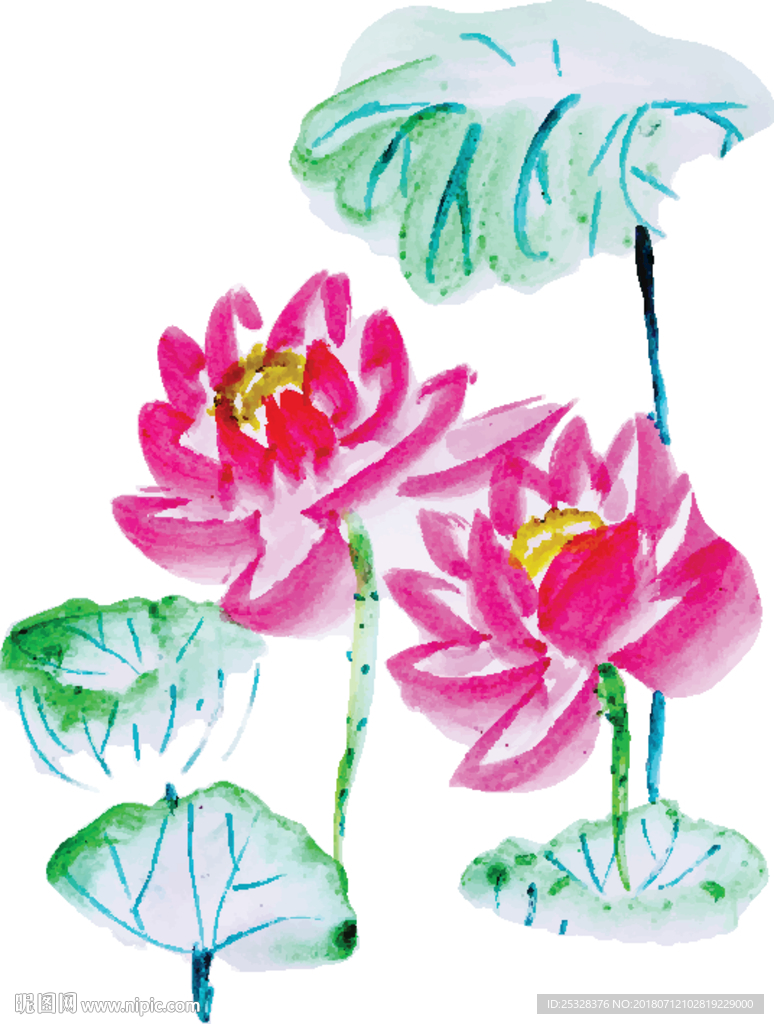 美丽的水彩花卉元素