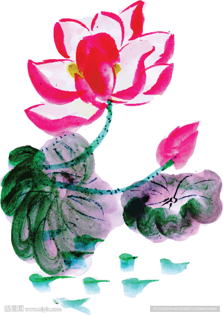 美丽的水彩花卉元素