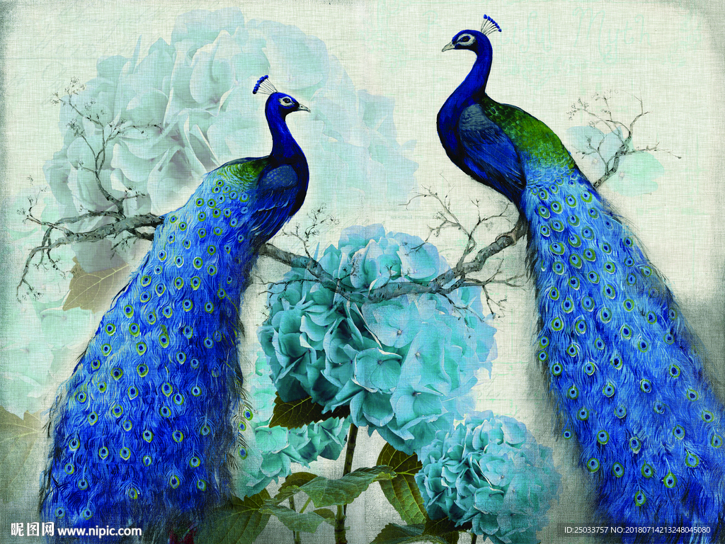 蓝孔雀玄关背景底纹素材创意艺术