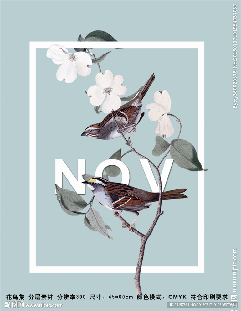 花鸟海报