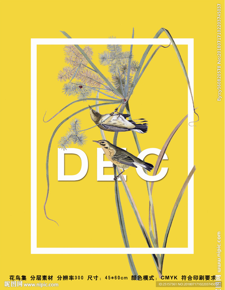 花鸟海报