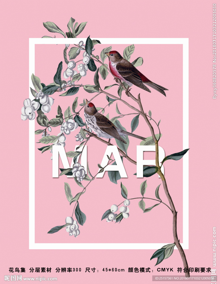 花鸟海报
