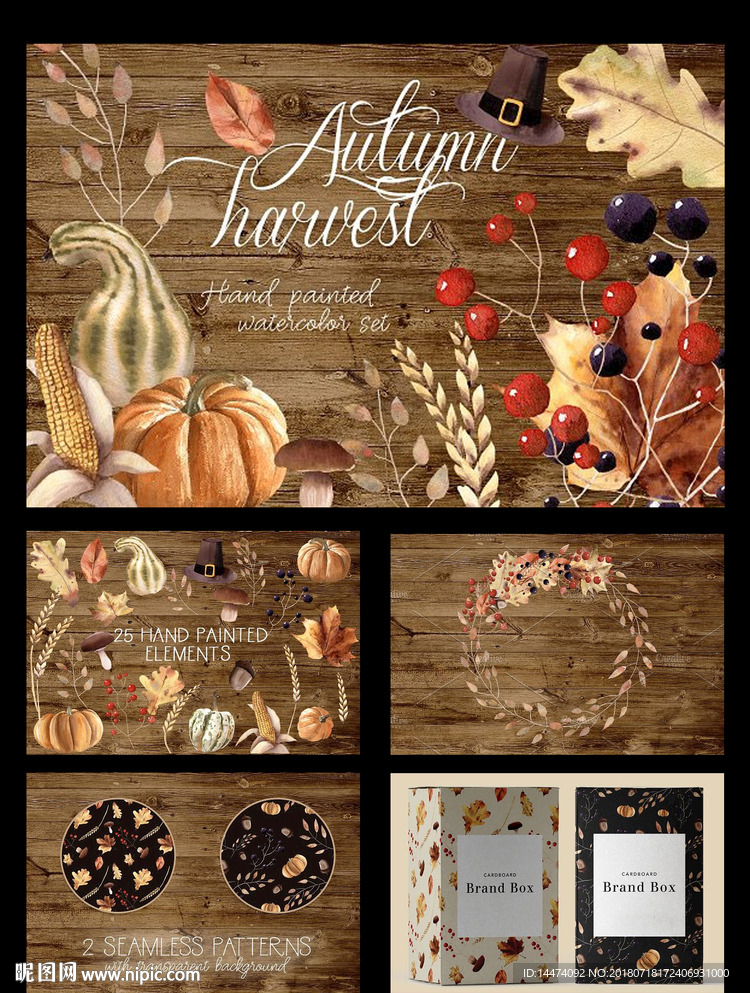 手绘水彩秋季南瓜玉米植物叶子