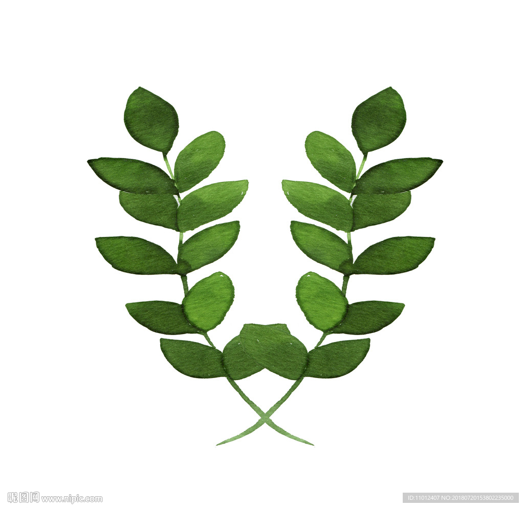 北欧风 绿植 挂画  绿色 高