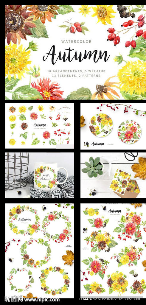 水彩手绘秋季花环松果向日葵