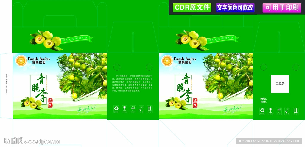 青脆李 李子包装