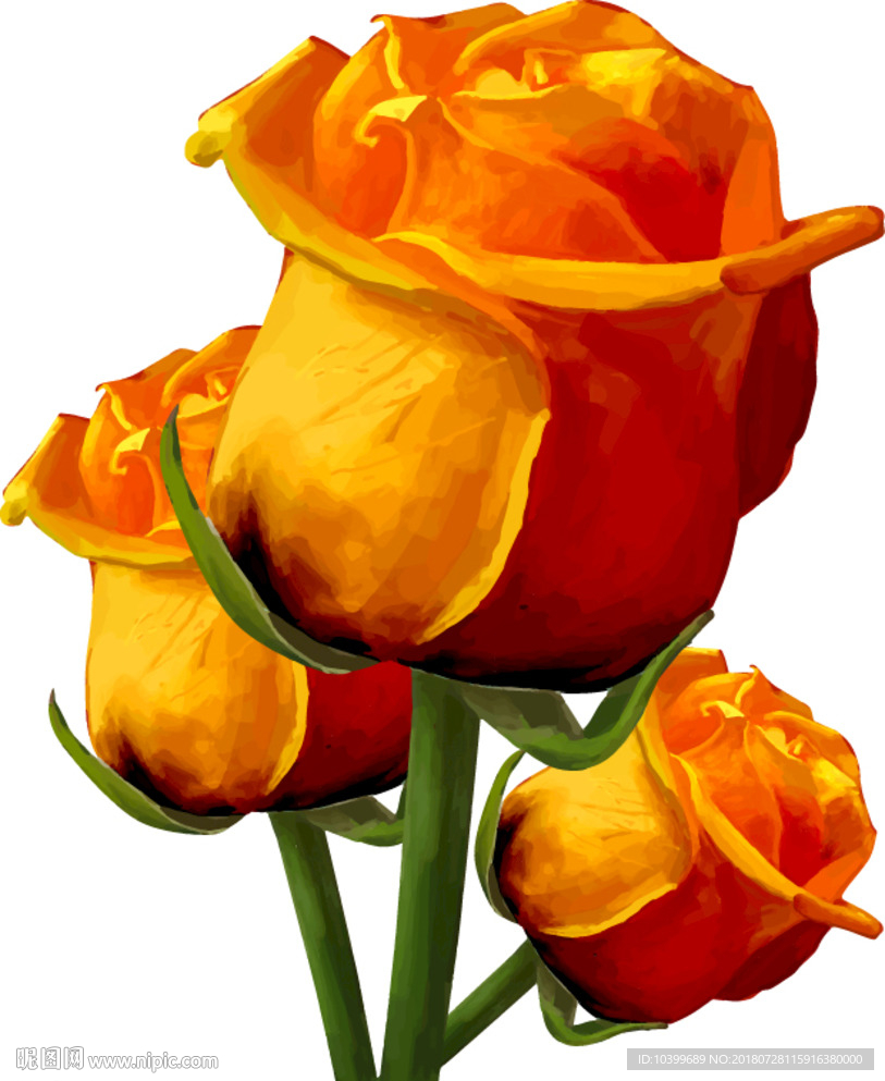 黄色玫瑰花矢量素材