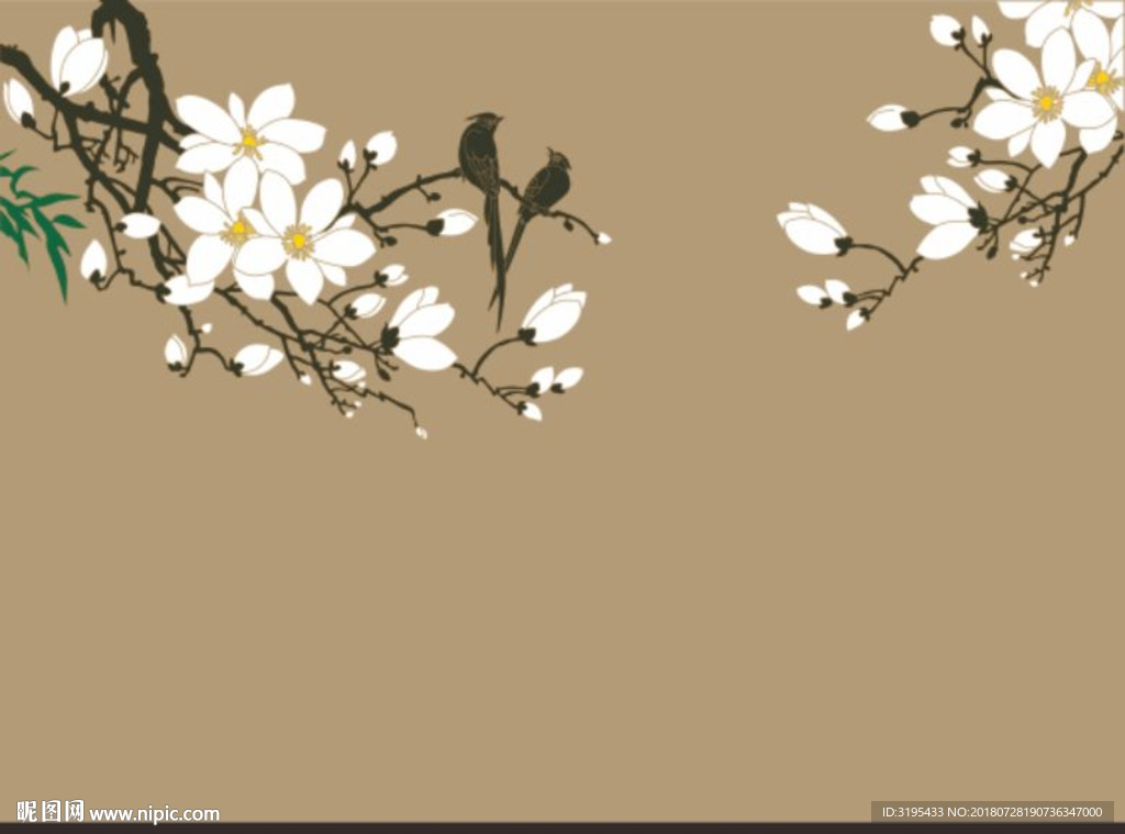 玉兰花 玉兰花矢量 花鸟壁纸