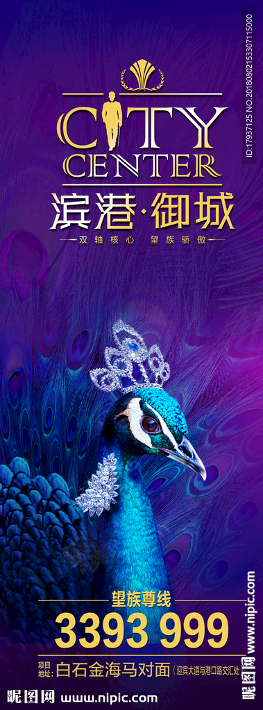 孔雀  盛开 音乐 钢琴  天