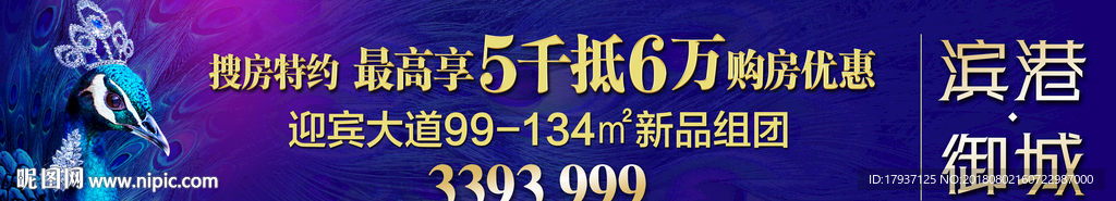 孔雀  盛开 音乐 钢琴  天