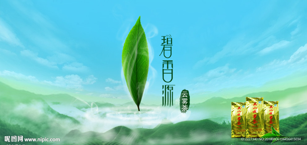 茶叶 高山茶叶 云雾茶 绿茶