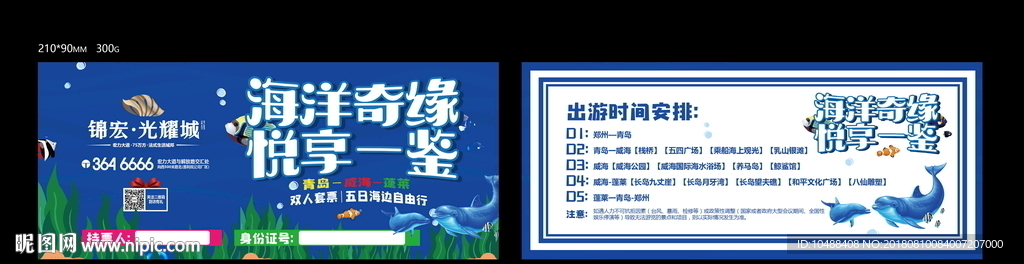 海洋馆 海豚 海浪 游泳馆门票