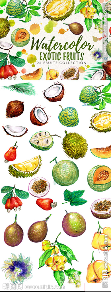 异国情调水彩手绘水果