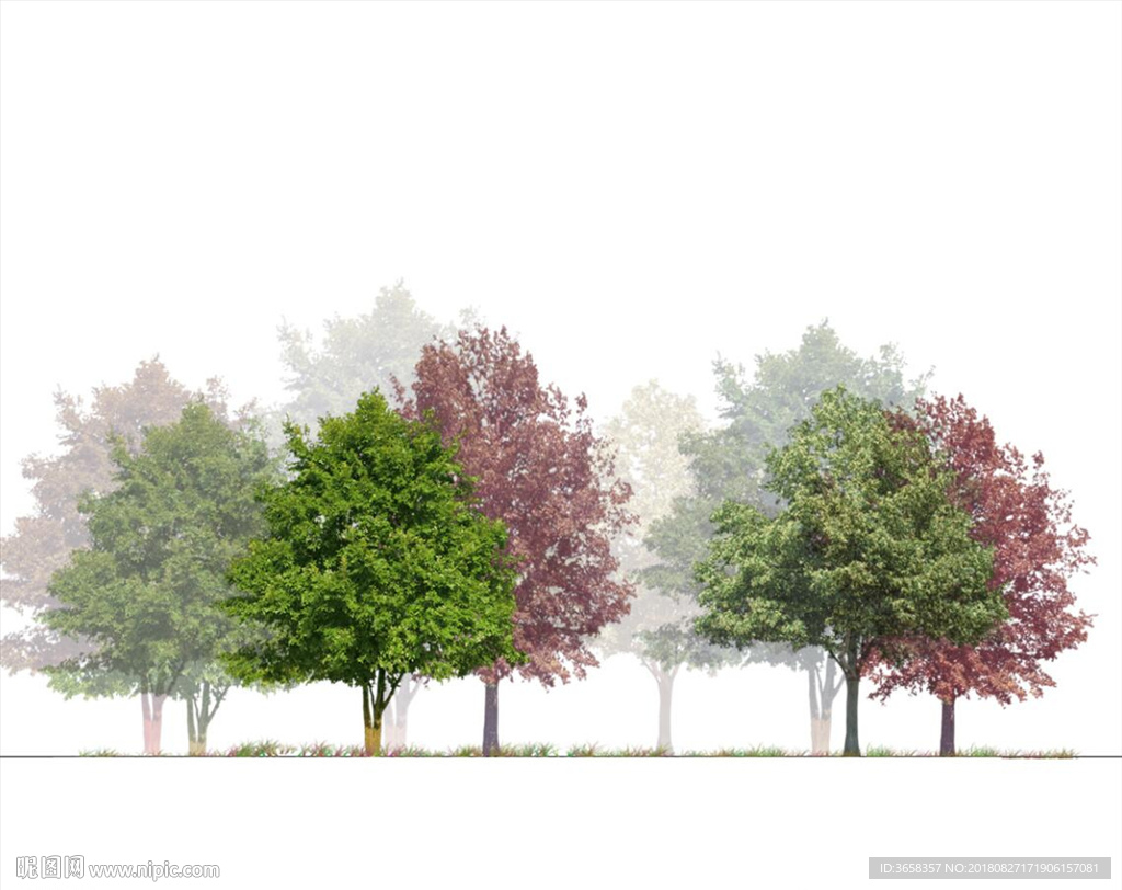 园林植物分层彩图