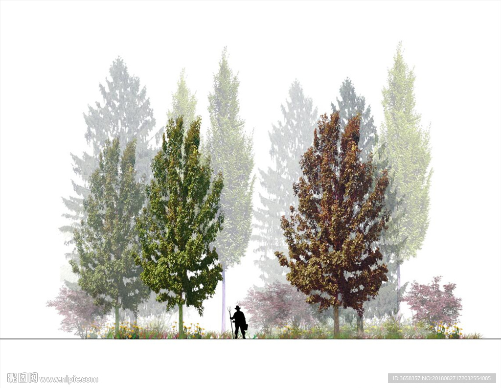 园林植物分层彩图