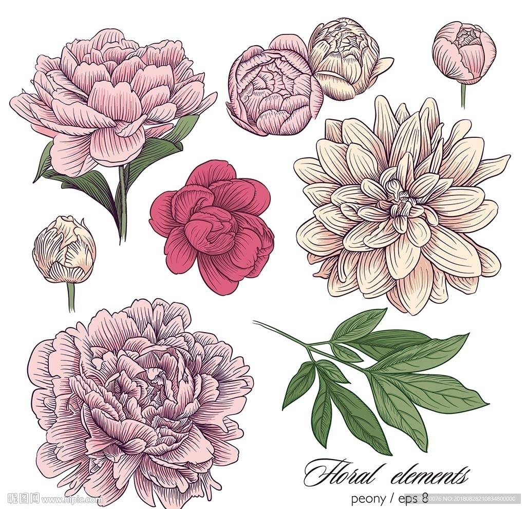 手绘鲜花花朵矢量素材