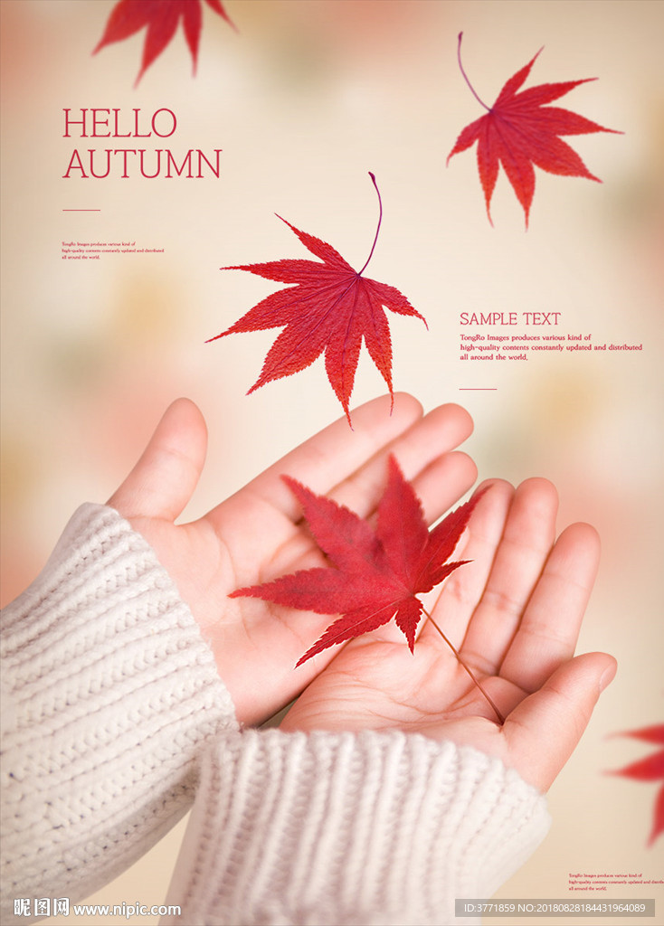 时尚秋天海报