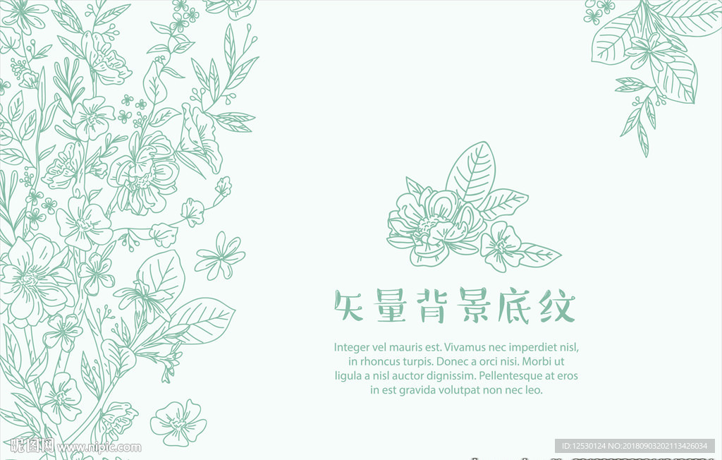 绿色植物花朵线框化妆品天然背景