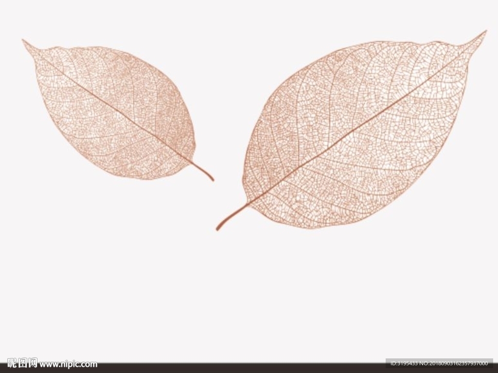 叶子 叶子矢量 硅藻泥背景墙
