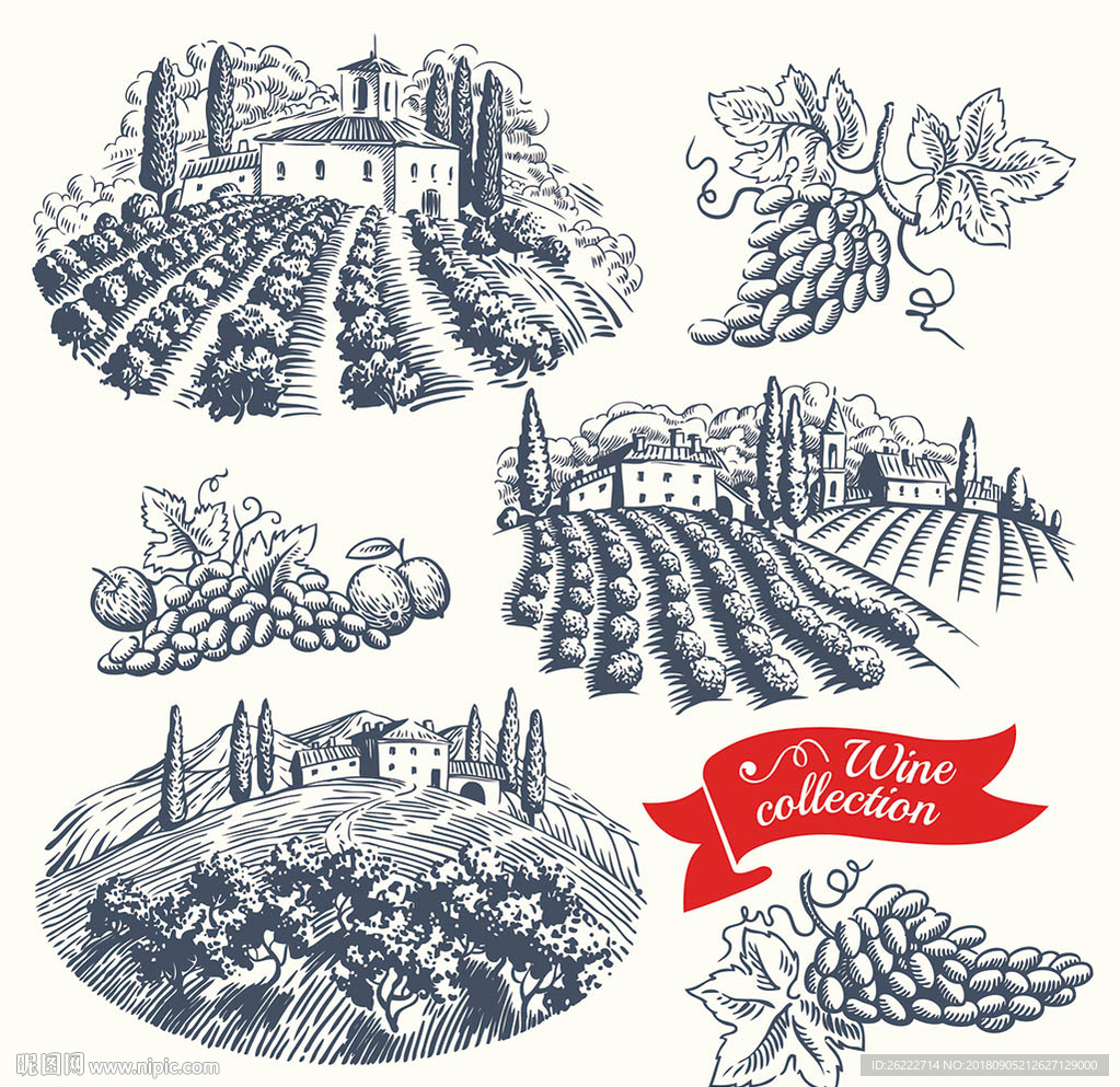 葡萄酒复古手绘素描插画素材