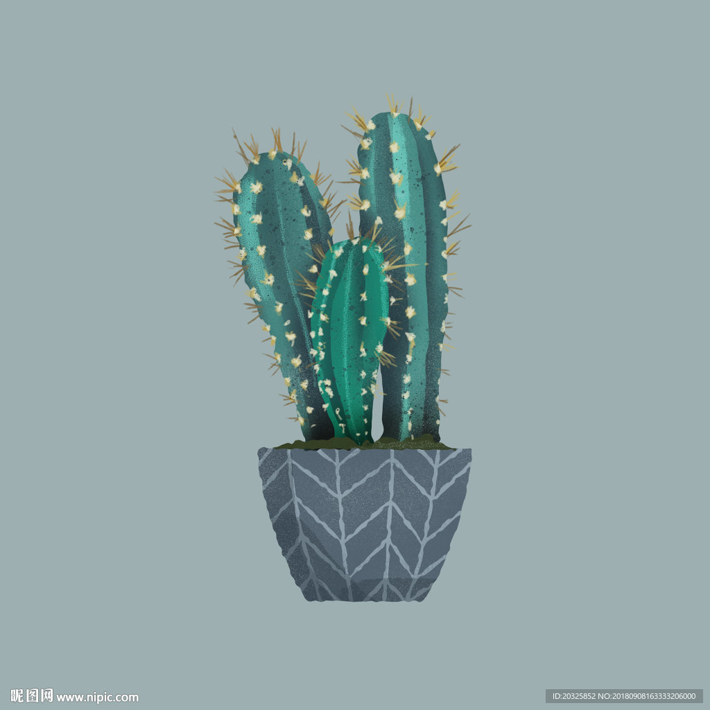 趣味手绘盆栽系列