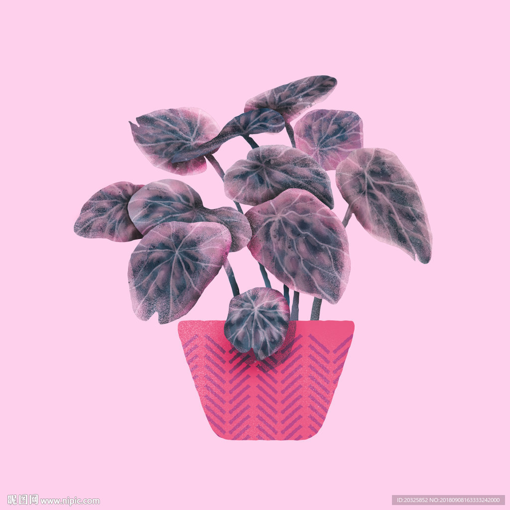 趣味手绘盆栽植物系列