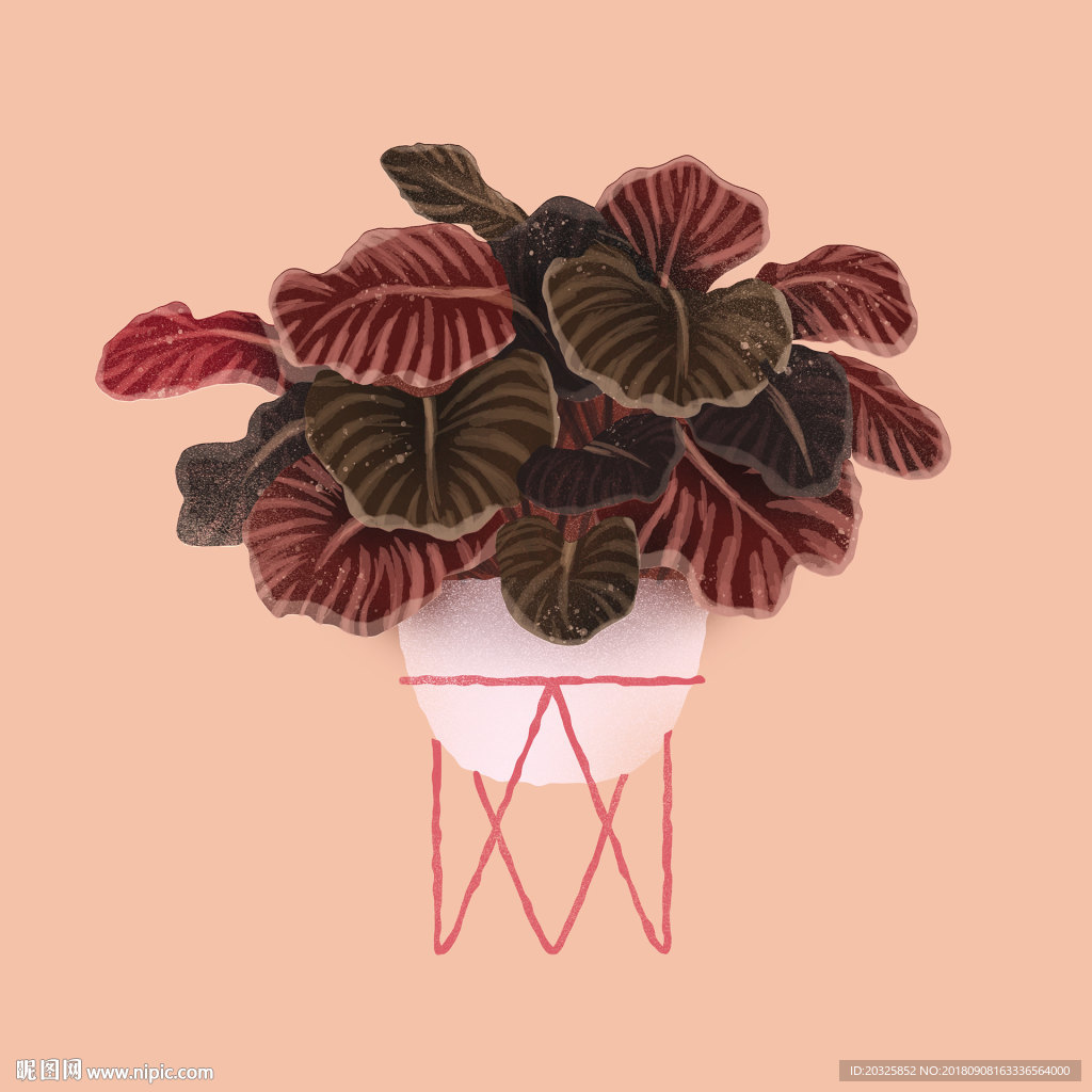 趣味手绘盆栽植物