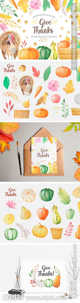 手绘水彩植物果实