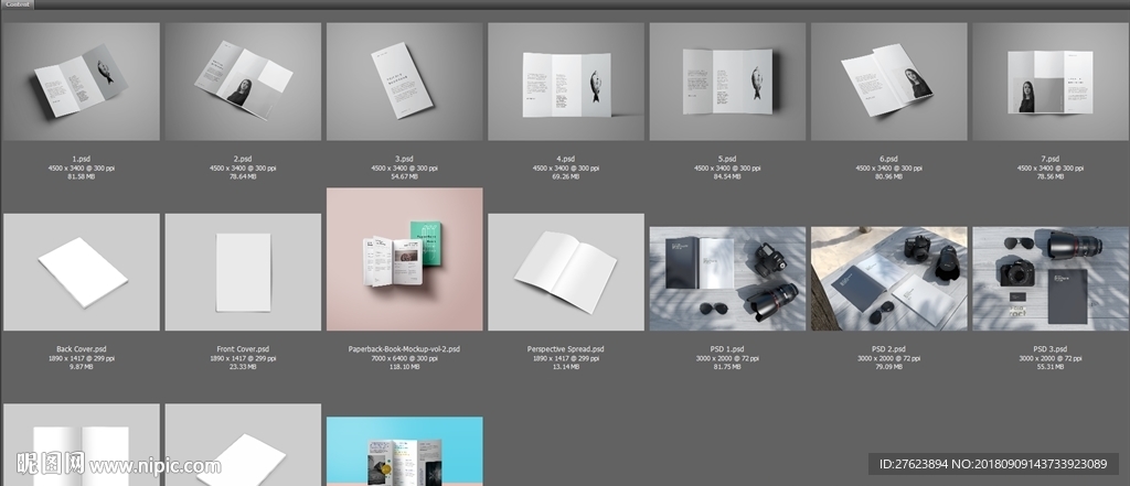 17款大气经典折页画册样机