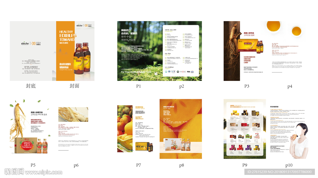 红参饮料画册设计