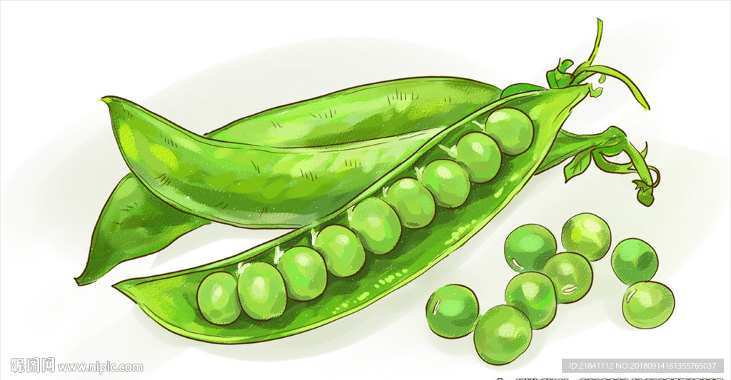 手绘豌豆