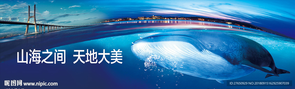 鲸鱼 海景 大桥