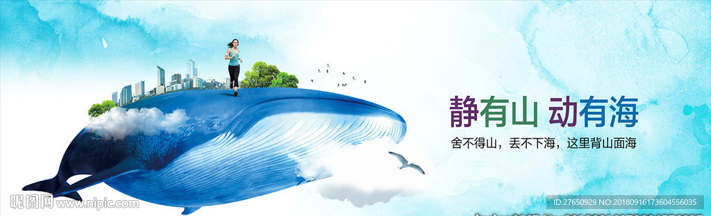 鲸鱼 海景 公园 城市